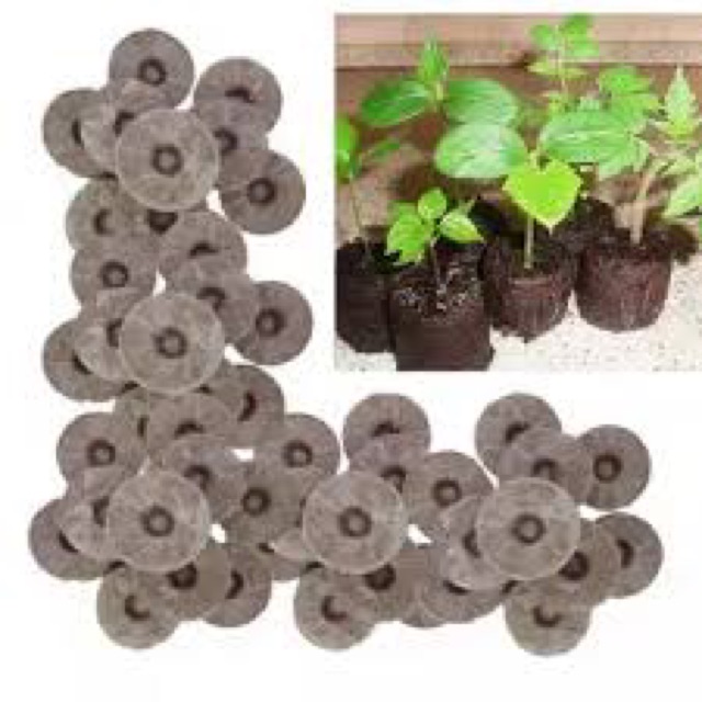 Viên nén xơ dừa ươm hạt giống ( 1 viên)