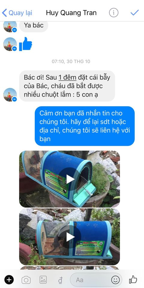 Bẫy Chuột Năm Phước An Giang ( Tặng Kèm Mồi Nhử Chuột Đặc Biệt )