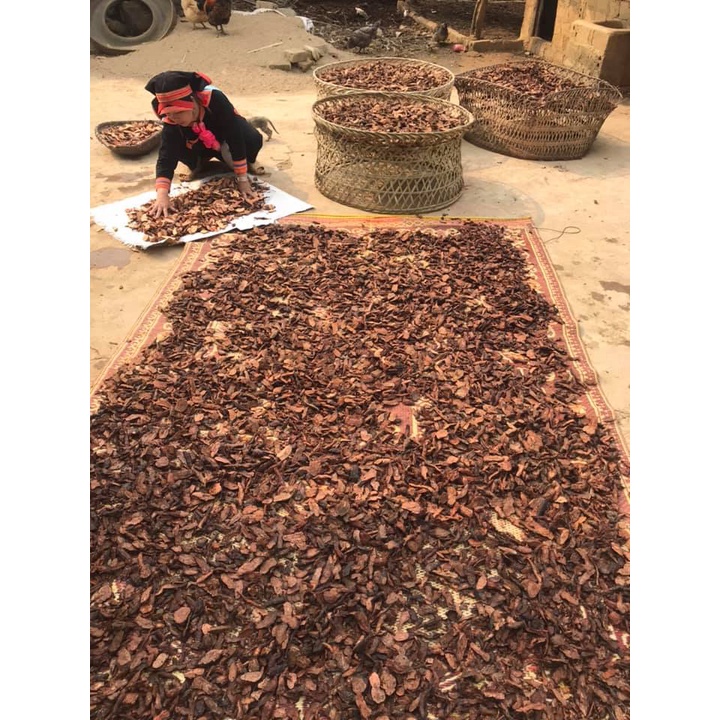 1Kg Hà Thủ Ô Đỏ Đã Sơ Chế