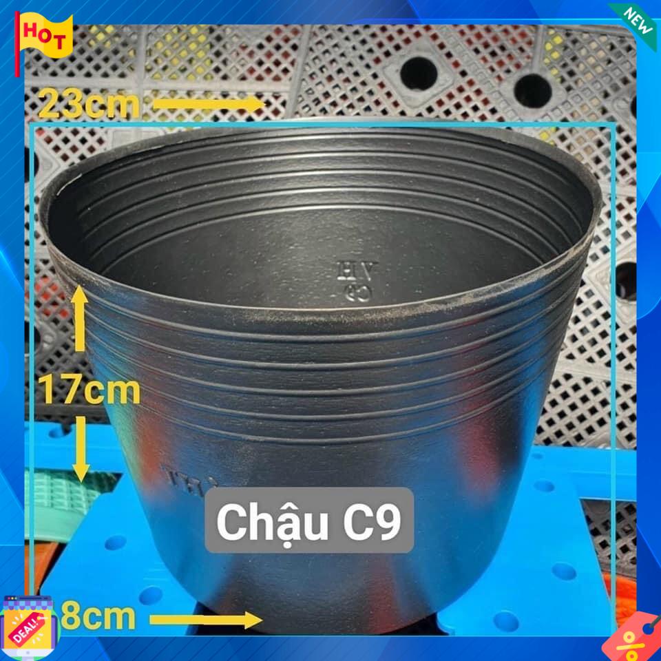 Chậu nhựa dẻo C9 (10 chậu)