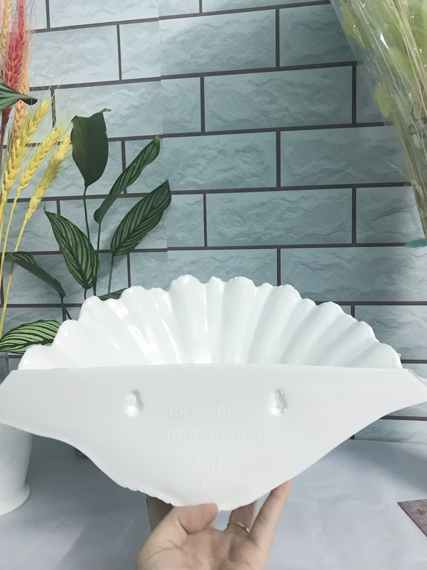Chậu ốp tường hình vỏ sò