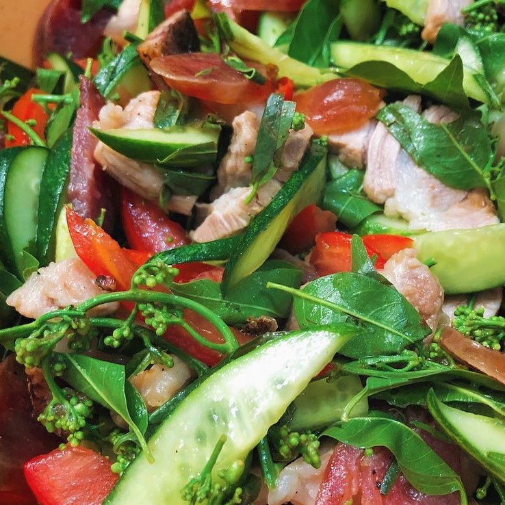 Cây Sầu Đâu Giống