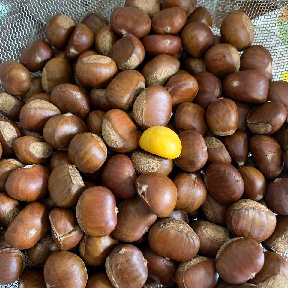 500gr Hạt dẻ  Sapa