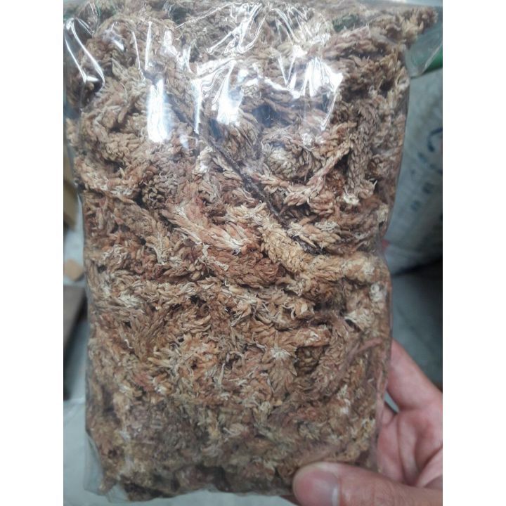 100g rêu sâu Chile chuyên dùng chồng lan
