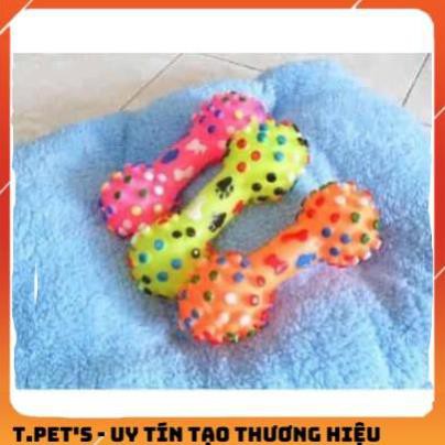 [HCM]Xương gai nhiều màu – đồ chơi chó