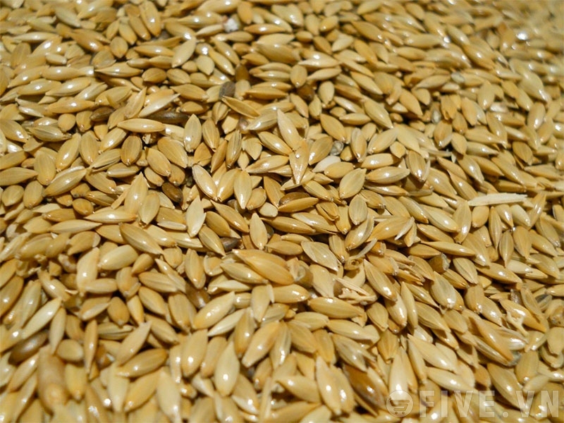 hạt láng dài - láng yến - láng chim 1 kg