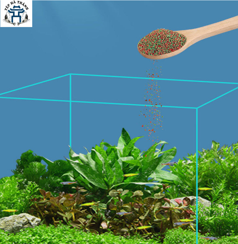 Thức ăn tropical tổng hợp tăng màu dạng hạt cho cá cảnh