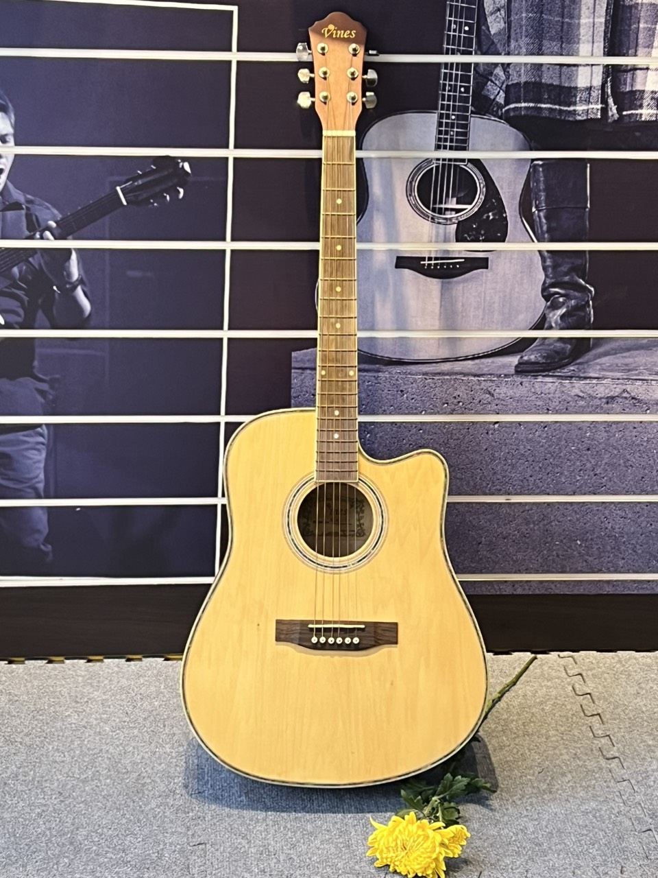 Đàn guitar acoustic Vines VA4125