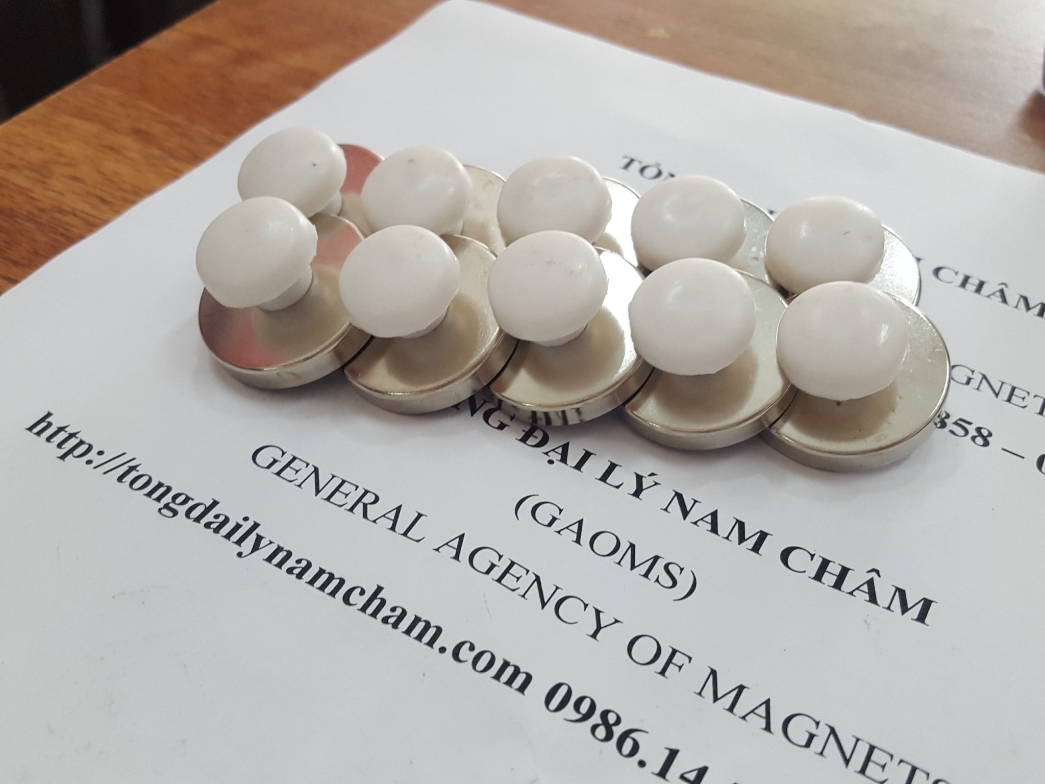 Nam châm đính bảng D32, có núm trắng- 10 cái