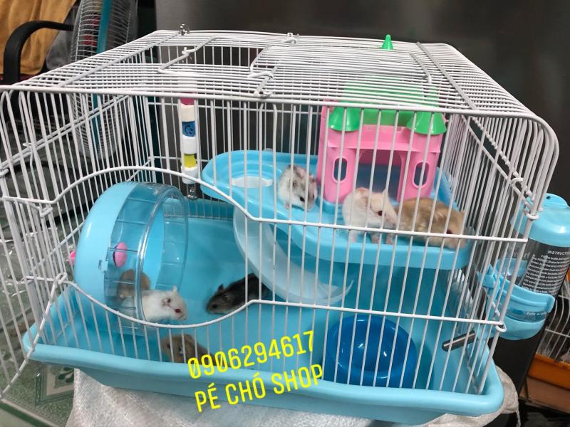 Lồng Lâu đài SUPPER cho hamster (d36r27c30)Tặng kèm Dây Mài Răng.