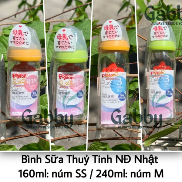 100% AUTH - BÌNH PIGEON NỘI ĐỊA NHẬT THỦY TINH 240ML