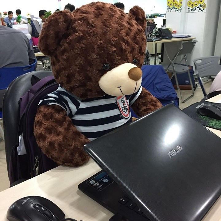 Gấu Bông Teddy Cao Cấp Kích Thước 60cm - BopBear