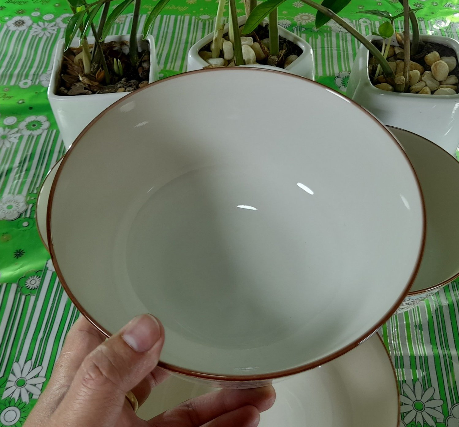 TÔ 6 4D107 SỨ BÁT BẢO CAO CẤP, sINCE_1977