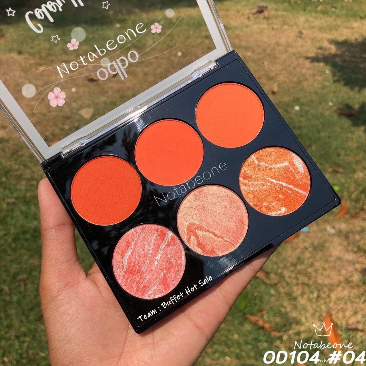 [HCM]Phấn má hồng kiêm bắt sáng 6 ô odbo color harmony blusher