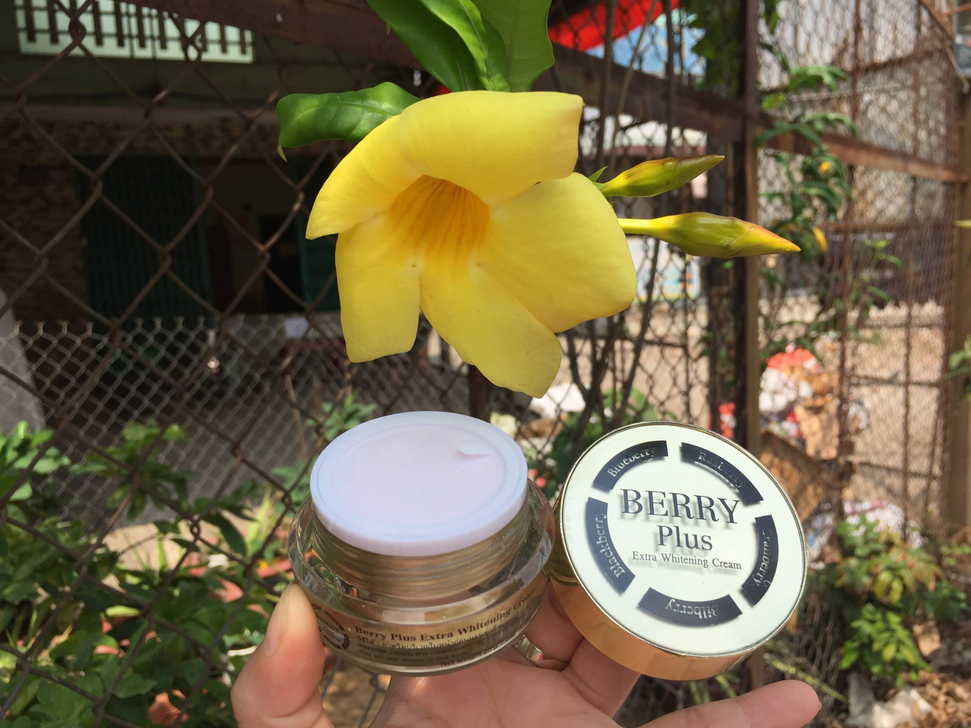 Kem ngăn nám, sạm da 4K BERRY Plus 20 gram