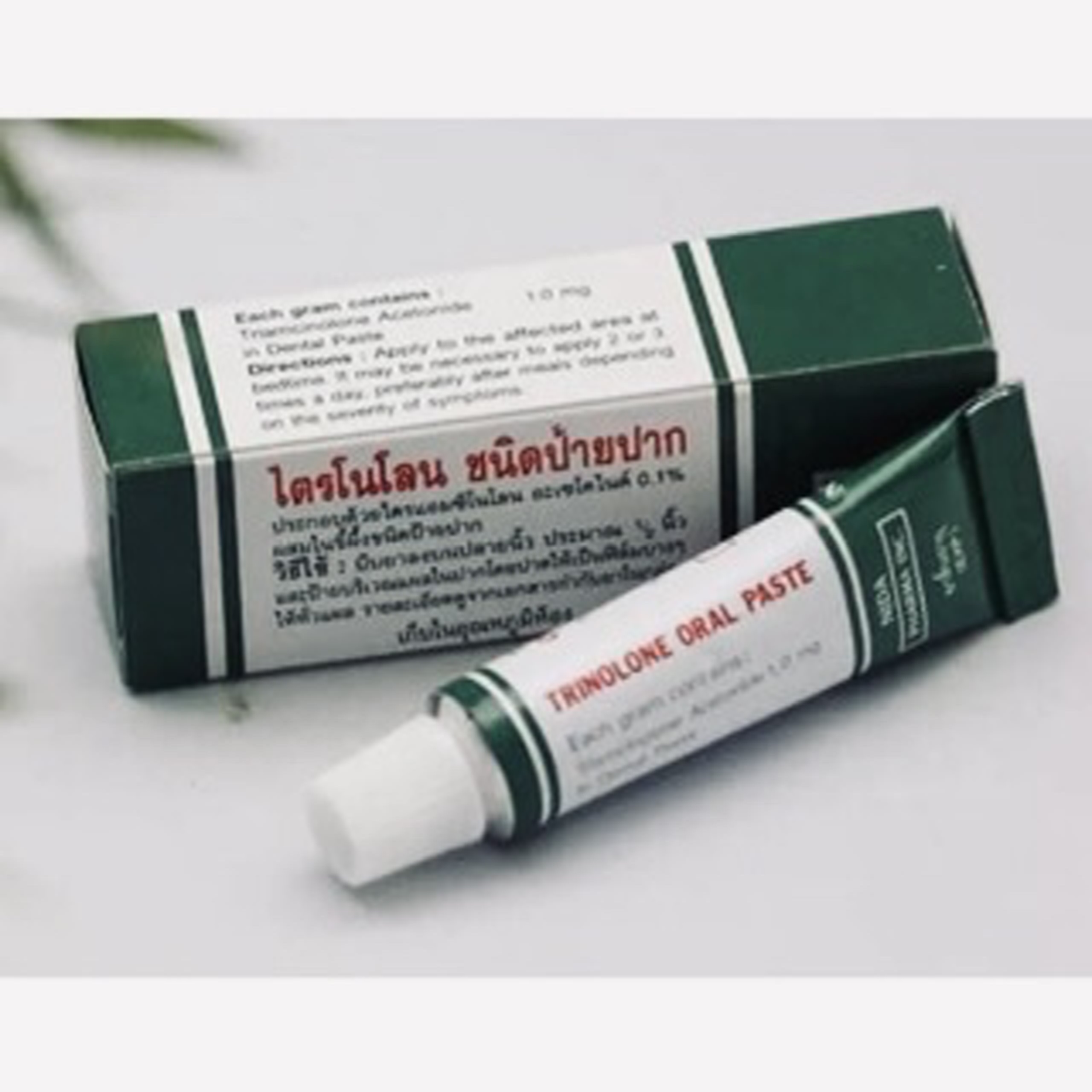 [HCM]Kem bôi nhiệt miệng Trinolone Oral Paste THÁI LAN