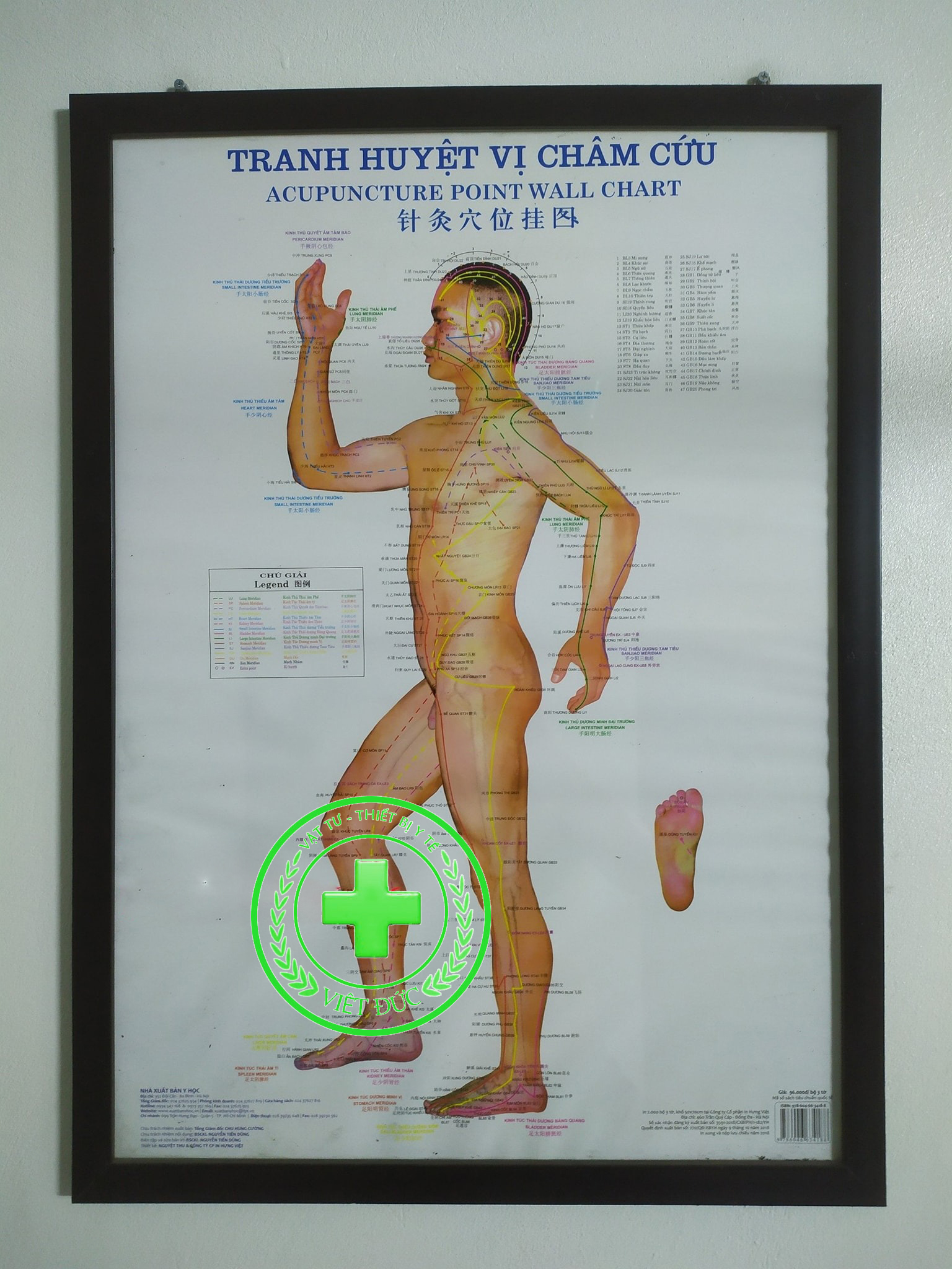 Tranh châm cứu huyệt vị