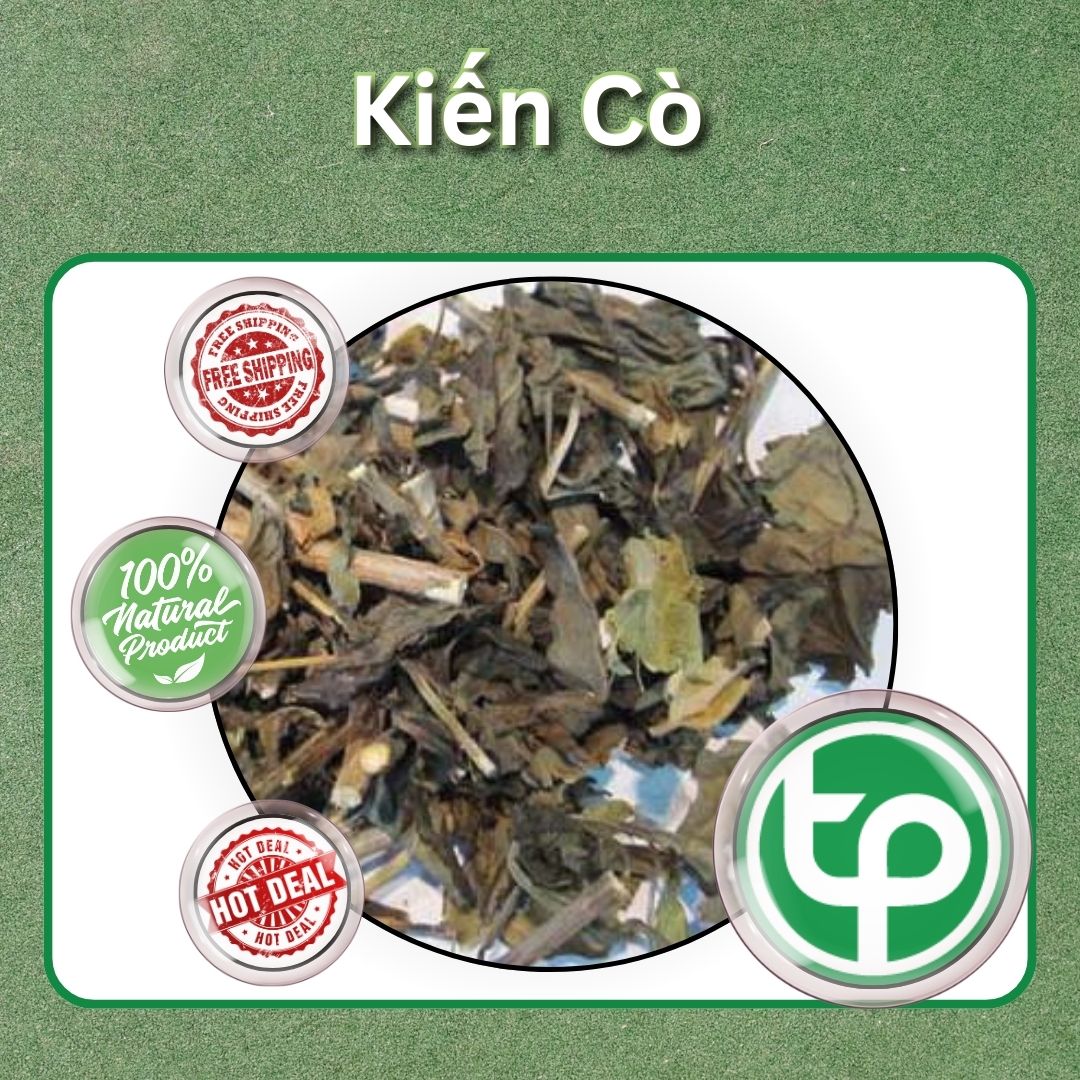 Cây kiến cò sấy khô túi lớn loại 500g  - Hàng công ty chất lượng cao - Thảo Dược Tấn Phát
