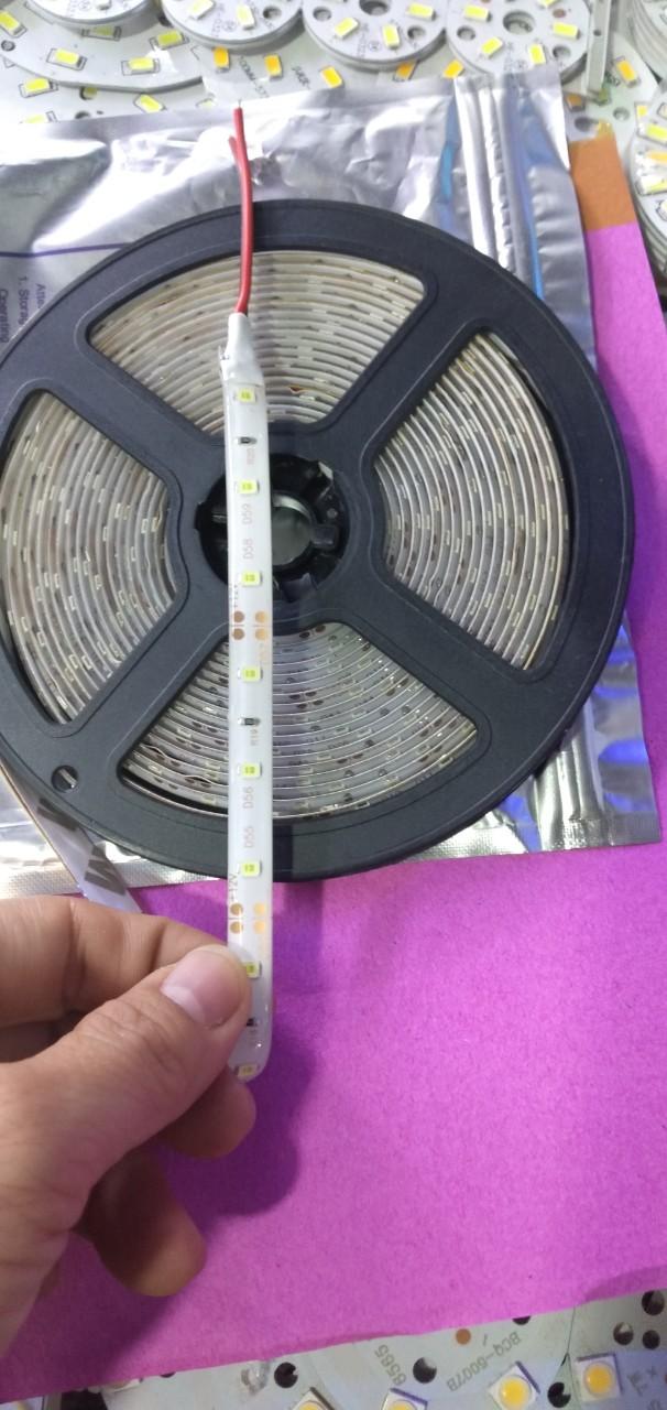 Dây led 3528 12v cuộn 5m