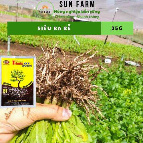 Siêu ra rễ kích rễ 25g