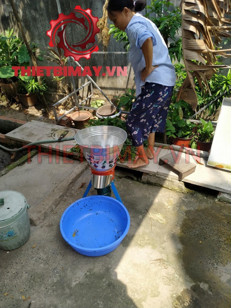 Máy băm cỏ voi rau cổ tròn