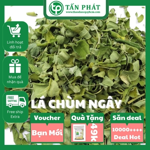 Lá chùm ngây khô 200g - Thảo Dược Tấn Phát