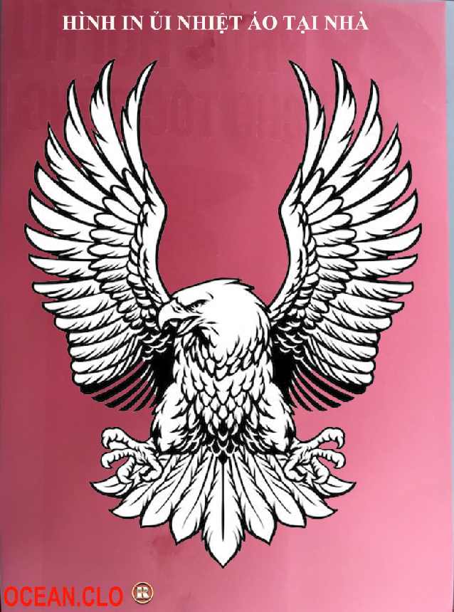 Logo American Eagle