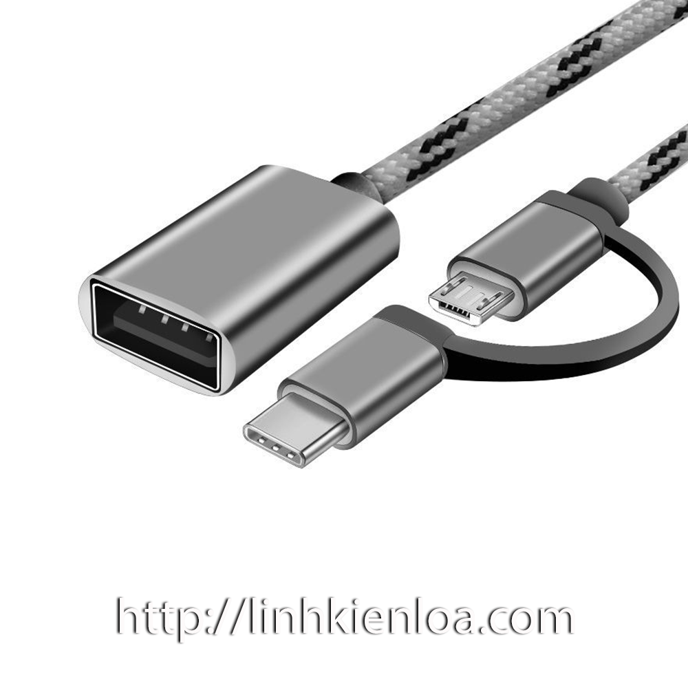 Cable OTG-shipping from USB port type-c + Micro USB to USB 3.0
