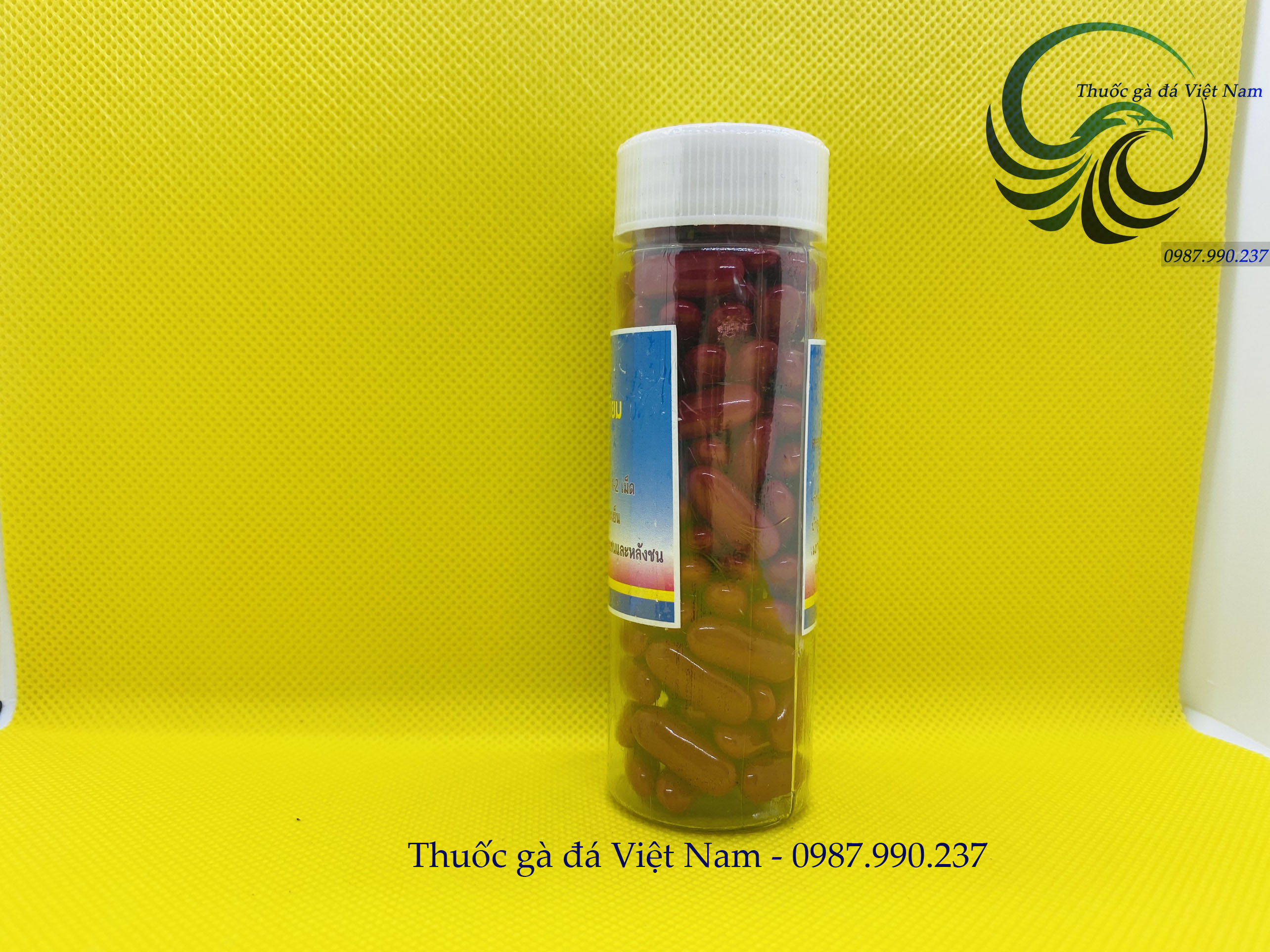 Thuốc gà đá - bổ máu Thái Lan cho chiến kê