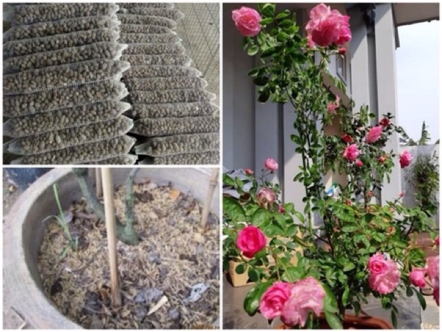10 Túi Phân Dê Tan Chậm Dùng Cho Hoa & Cây Cảnh