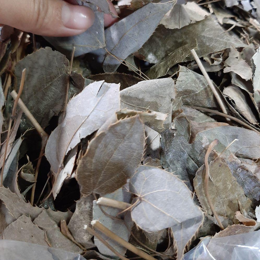 500g lá cây dâm dương hoắc