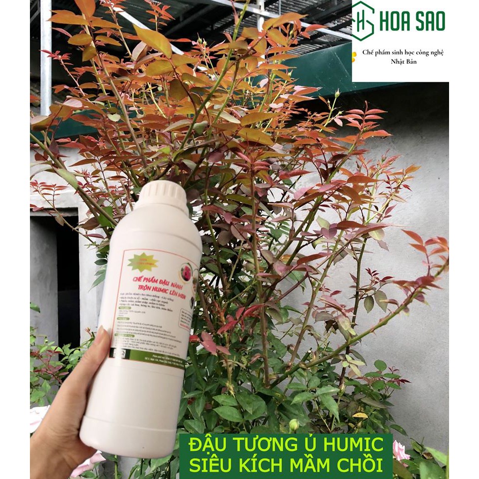 Chế phẩm đậu tương ủ Humic, chuối, trứng lên men (chai 1 lít)
