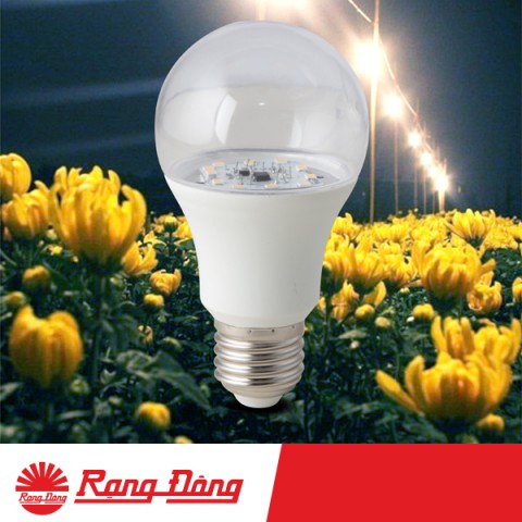 Đèn led trồng hoa cúc 9W Rạng đông Model: LED HC A60/9W 3000K