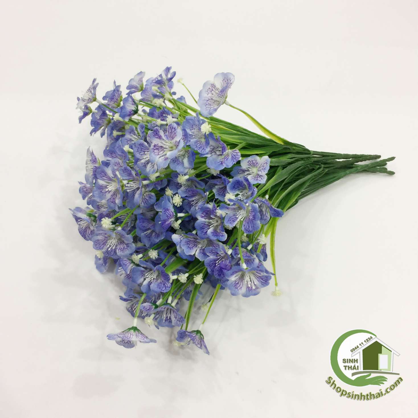 [HCM]Bụi hoa cánh bướm màu tím