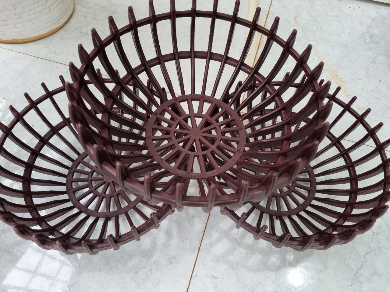 [Giá hủy diệt] chậu quả bí trồng lan đủ size