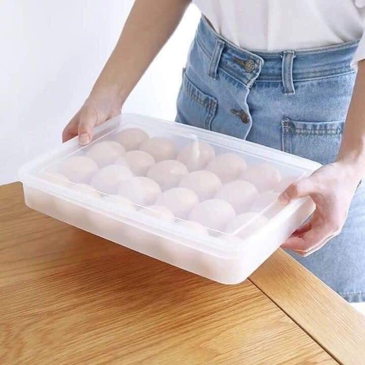 (Xả kho) Khay đựng trứng 1 tầng 24 quả