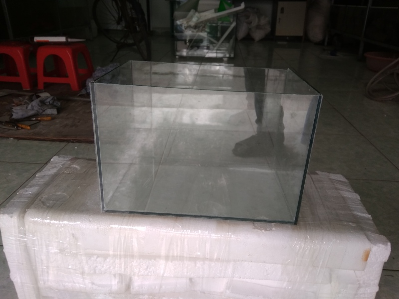 bể cá mini 40x30x30 -cá cảnh cẩm giàng