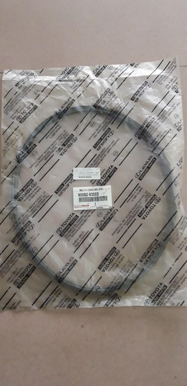 Dây Máy Phát Zace Xịn