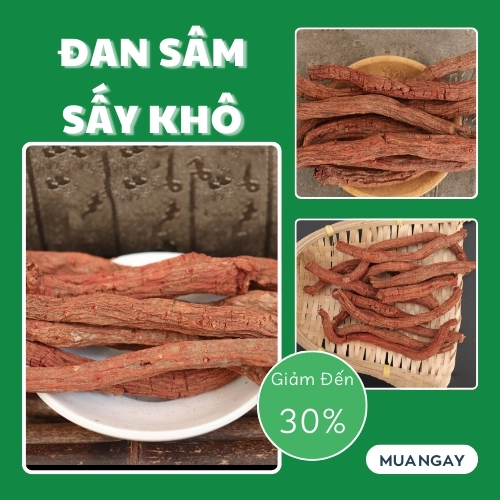[Hàng công ty] Đan sâm khô 100g - tấn phát - Hàng sạch hỗ trợ hoạt huyết, cải thiện khả năng lưu thông máu
