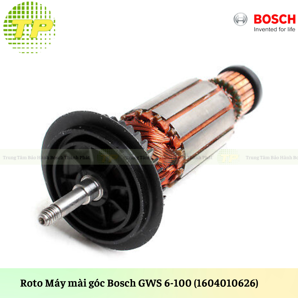 GWS 6-100 (Roto)