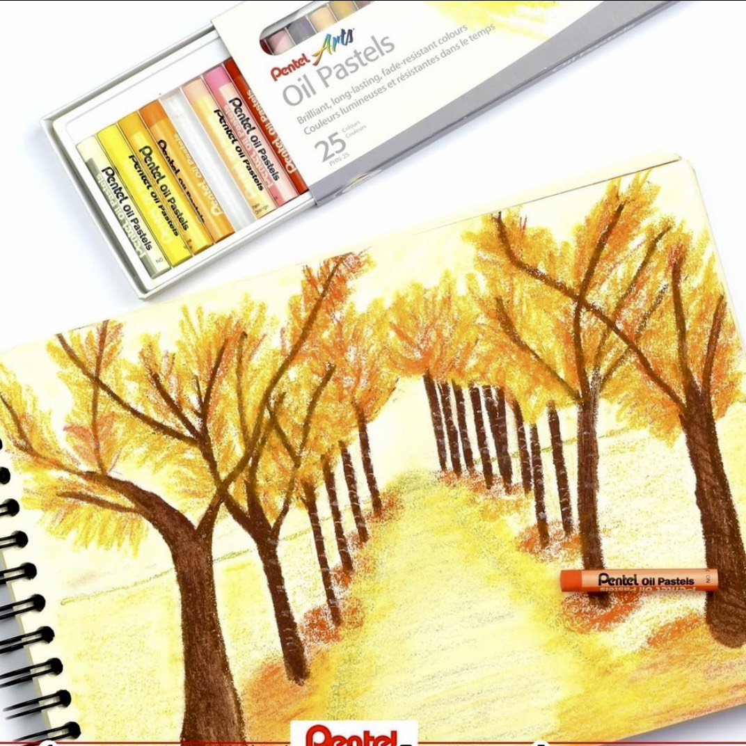 Sáp Dầu Pentel 12/16/25/36/50 Màu - PHN [Hàng Chính Hãng]