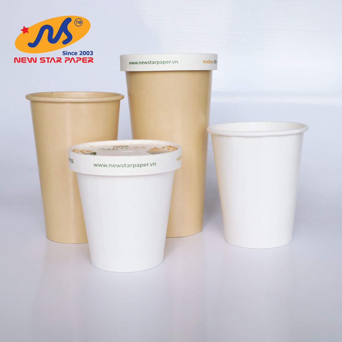 Nắp giấy - Lốc 25 nắp có họa tiết