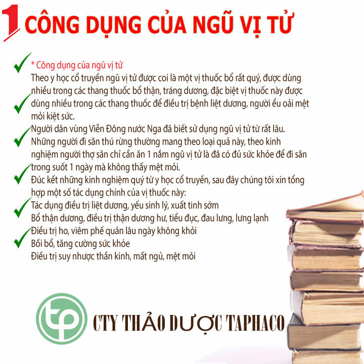 [Hàng mới về] Ngũ vị tử khô 100g - Tấn Phát - Chuyên dùng để cải thiện sức khoẻ người sử dụng
