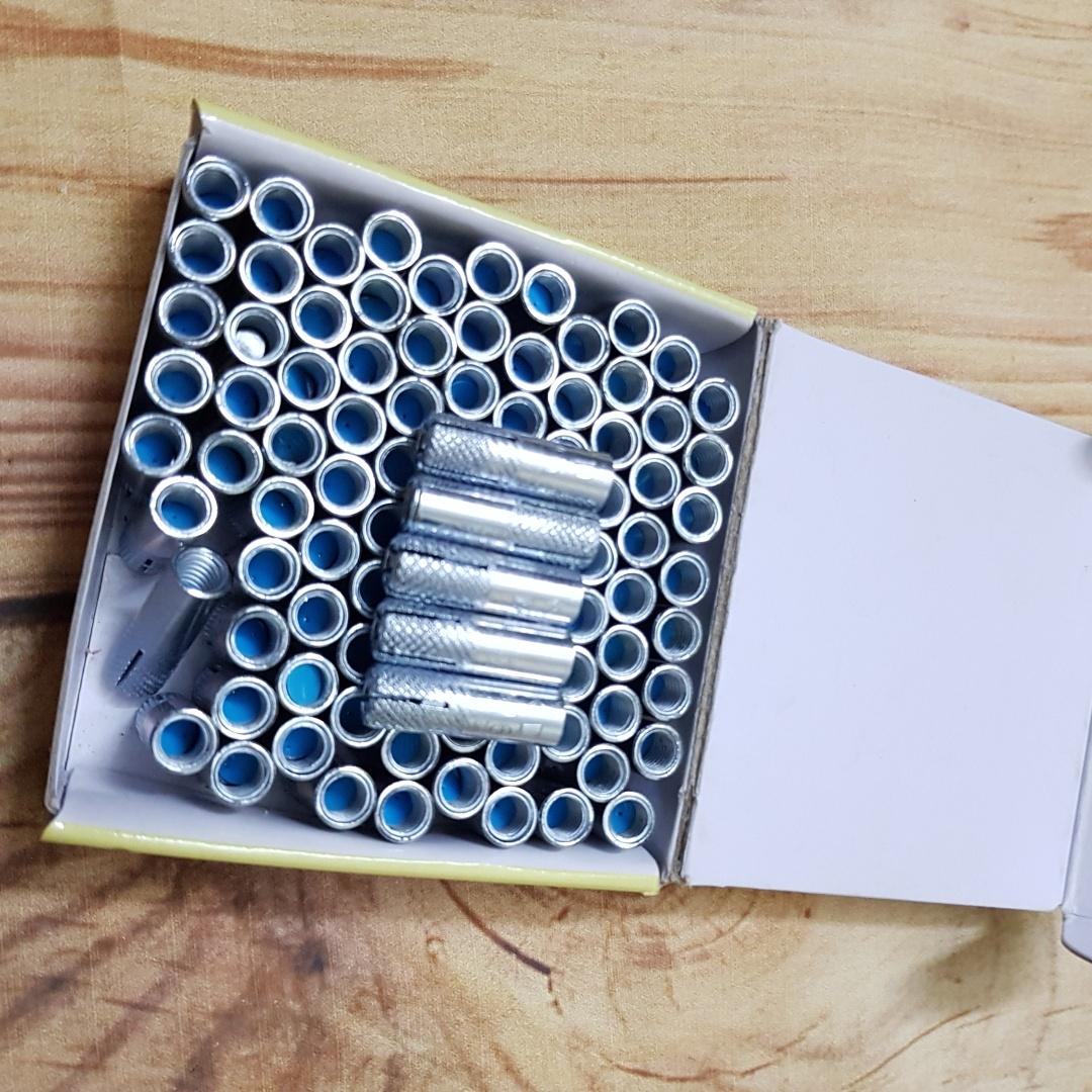 Hộp 100 con nở đóng bắt ti ren 6mmx25mm
