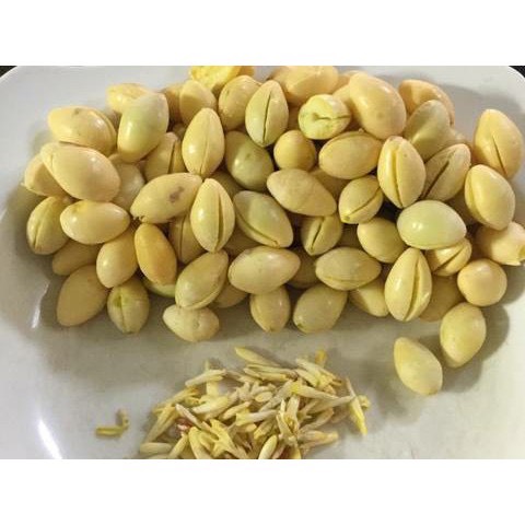 Bạch quả loại 1 túi nữa kg