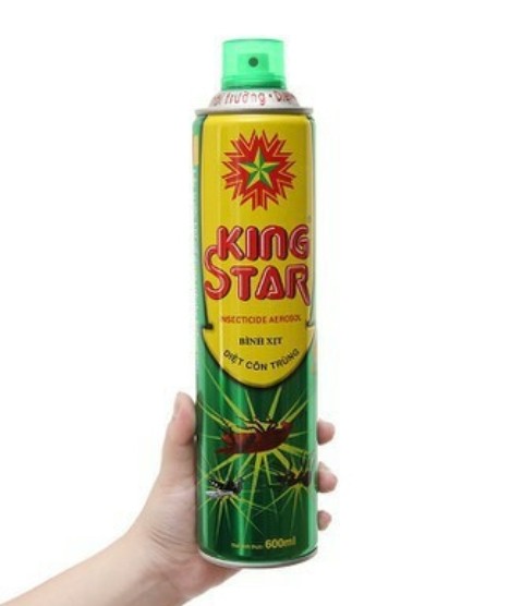 2 Bình xịt muỗi, kiến, côn trùng KING STAR 600ml