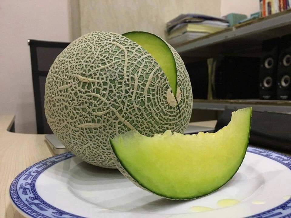 Hạt giống Dưa Lưới vỏ xanh 10 hạt