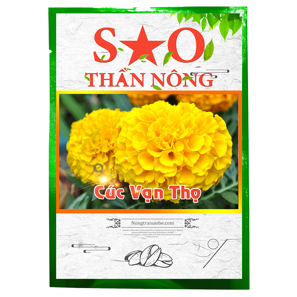 Hạt giống hoa Cúc Vạn Thọ - Sao Thần nông