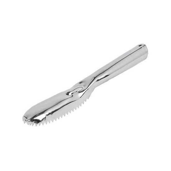 Dụng Cụ Đánh Vẩy Cá Inox