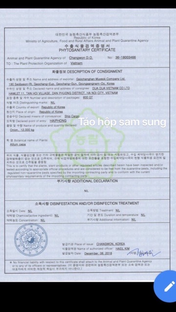 TÁO ĐỎ CHUẨN HÀN QUỐC 1KG